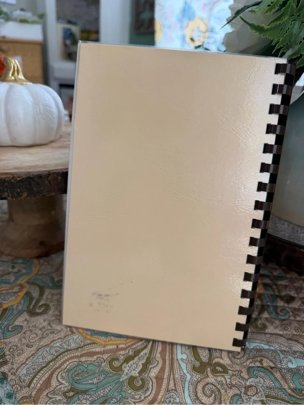 RARE Vintage Spiralbound Cookbook ‘Women’s Centennial Cookbook 1886-1986’